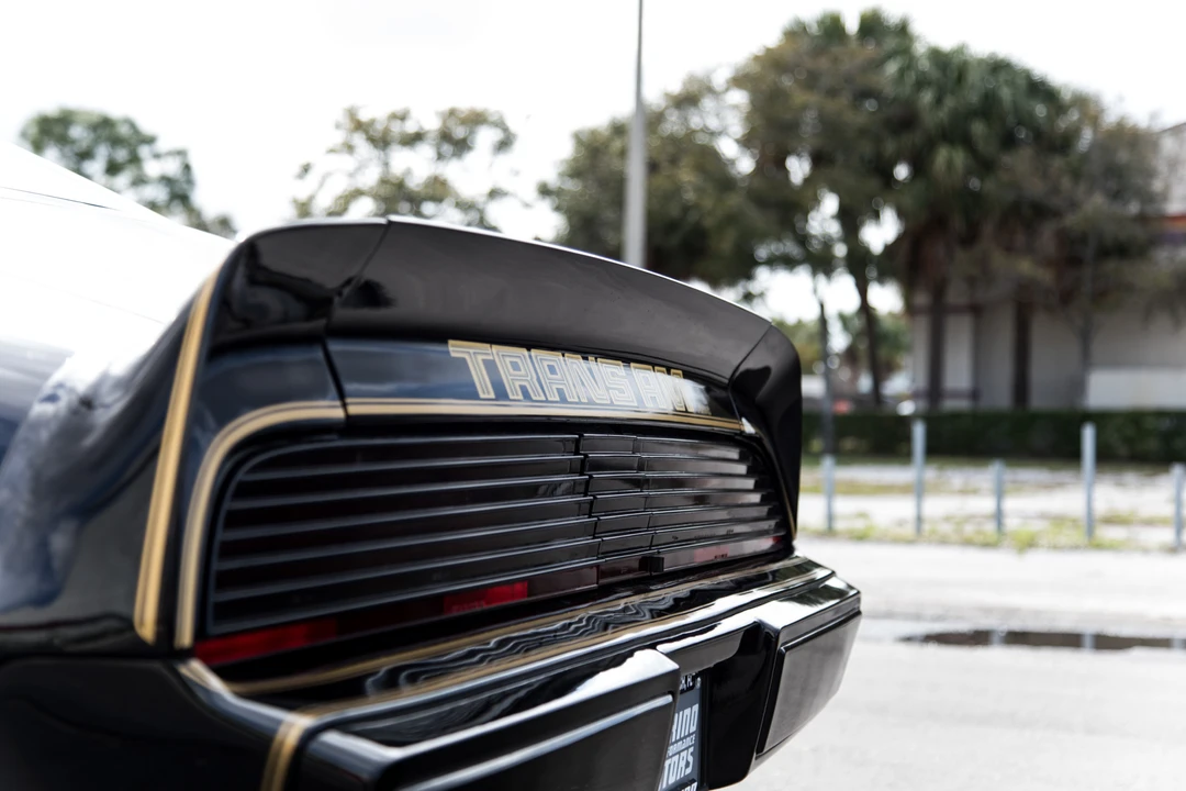 1981 Pontiac Firebird Trans Am 2nd Gen - Image 19 of 31