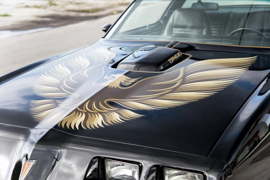 1981 Pontiac Firebird Trans Am 2nd Gen - Image 13 of 31