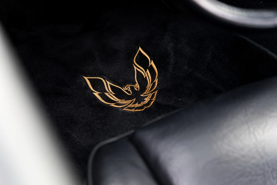 1981 Pontiac Firebird Trans Am 2nd Gen - Image 24 of 31