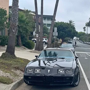 1981 Pontiac Firebird Trans Am