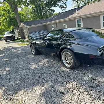 1981 Pontiac Firebird Trans Am