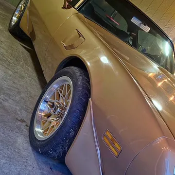 1981 Pontiac Firebird Trans Am