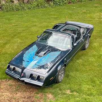 1981 Pontiac Firebird Trans Am