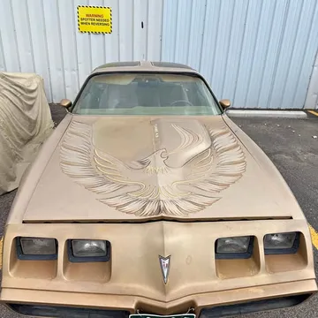 1981 Pontiac Firebird Trans Am