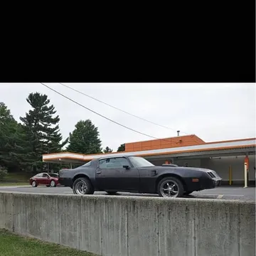 1981 Pontiac Firebird Trans Am Coupe 2D