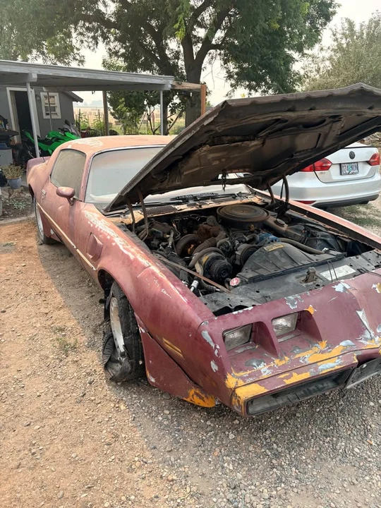 1981 Pontiac Firebird Trans Am 2nd Gen - Image 3 of 8