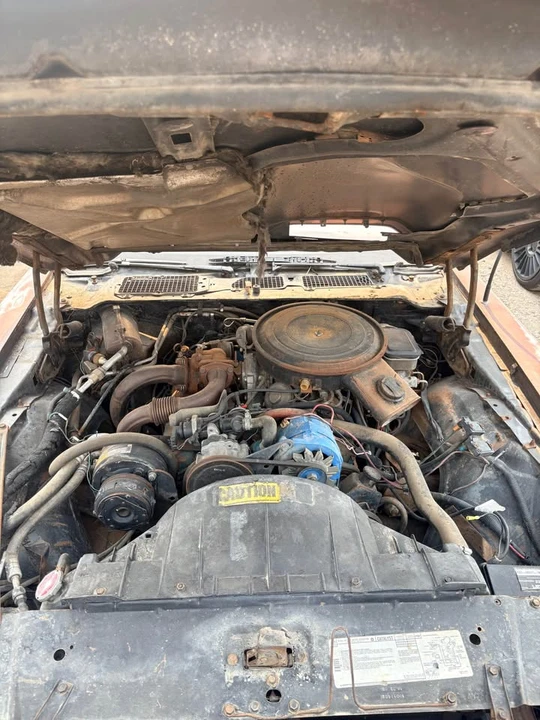 1981 Pontiac Firebird Trans Am 2nd Gen - Image 4 of 8
