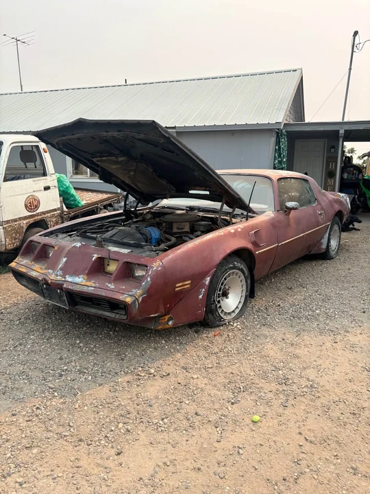 1981 Pontiac Firebird Trans Am 2nd Gen - Image 5 of 8
