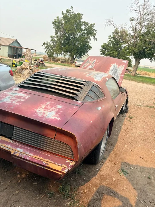 1981 Pontiac Firebird Trans Am 2nd Gen - Image 2 of 8