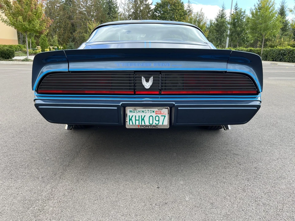 1981 Pontiac Firebird Trans Am 2nd Gen - Image 15 of 31