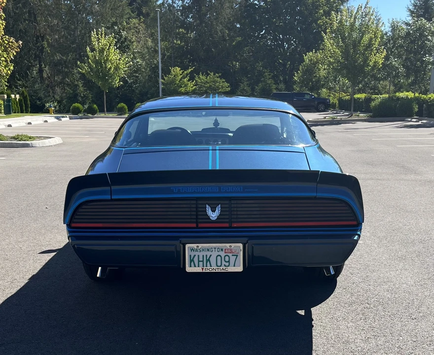 1981 Pontiac Firebird Trans Am 2nd Gen - Image 14 of 31