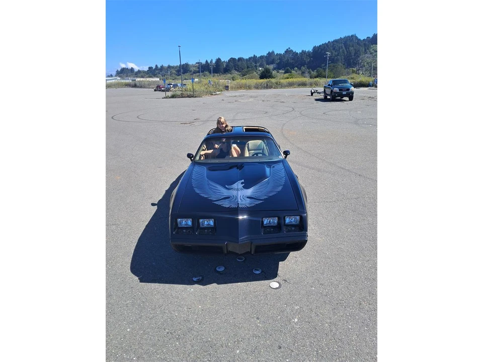 1981 Pontiac Firebird Trans Am 2nd Gen - Image 3 of 19