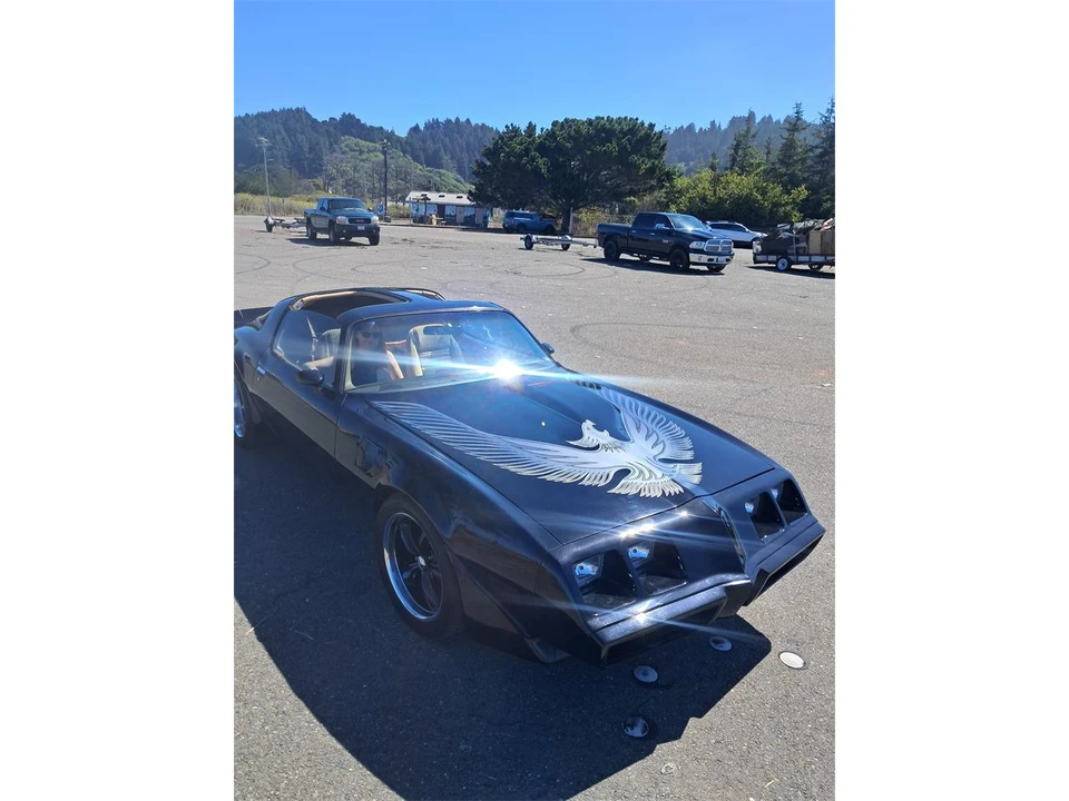 1981 Pontiac Firebird Trans Am 2nd Gen - Image 4 of 19
