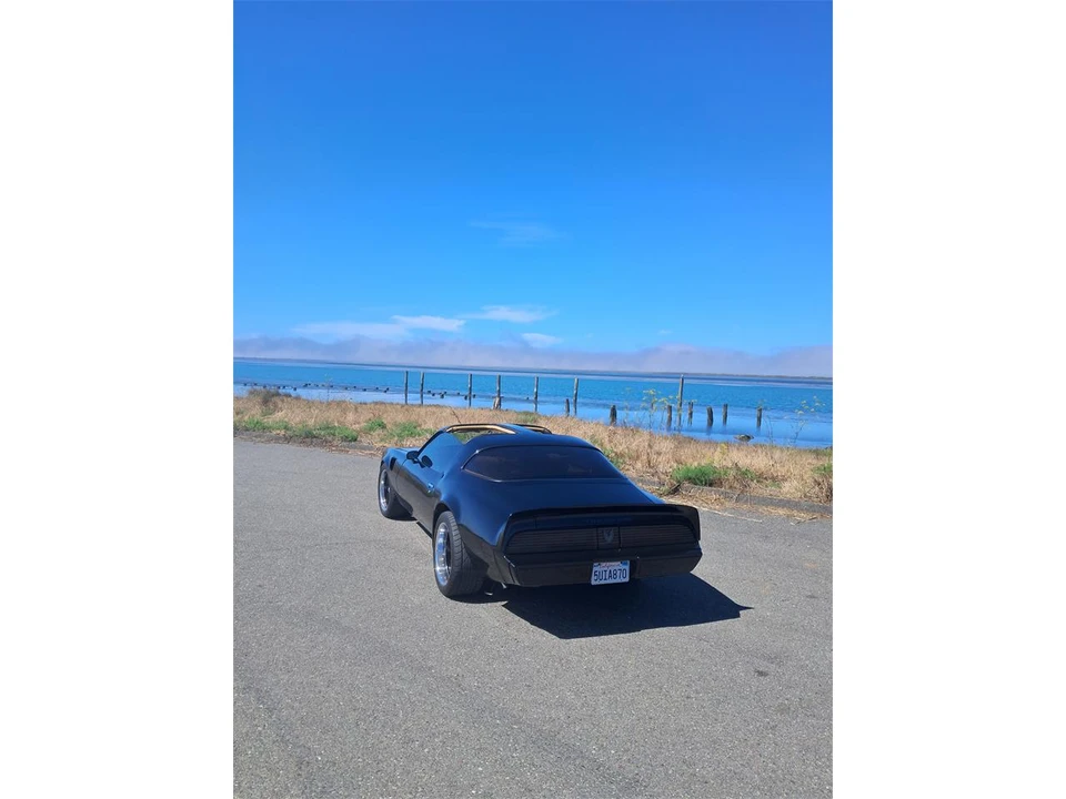 1981 Pontiac Firebird Trans Am 2nd Gen - Image 7 of 19