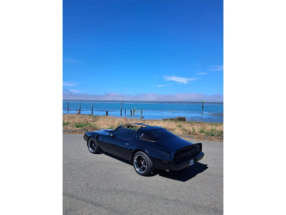 1981 Pontiac Firebird Trans Am 2nd Gen - Image 8 of 19