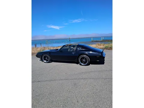 1981 Pontiac Firebird Trans Am SE