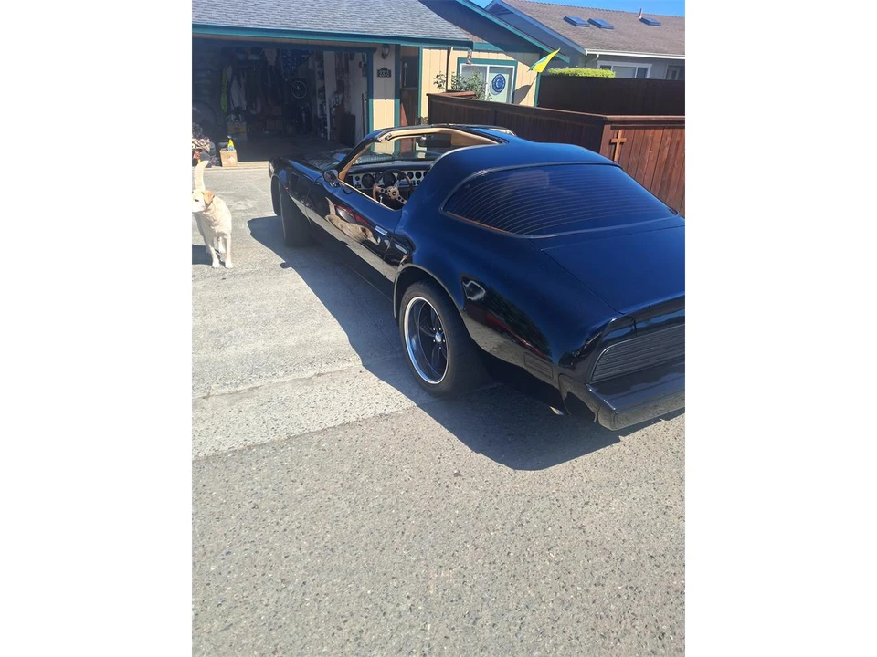1981 Pontiac Firebird Trans Am 2nd Gen - Image 9 of 19