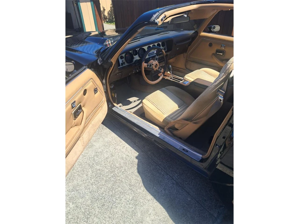 1981 Pontiac Firebird Trans Am 2nd Gen - Image 10 of 19