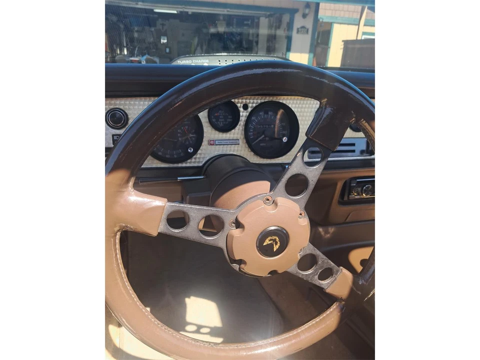 1981 Pontiac Firebird Trans Am 2nd Gen - Image 11 of 19