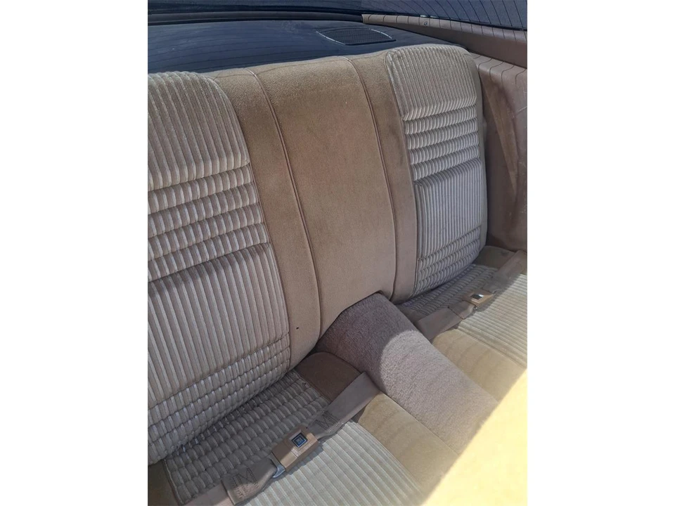 1981 Pontiac Firebird Trans Am 2nd Gen - Image 12 of 19