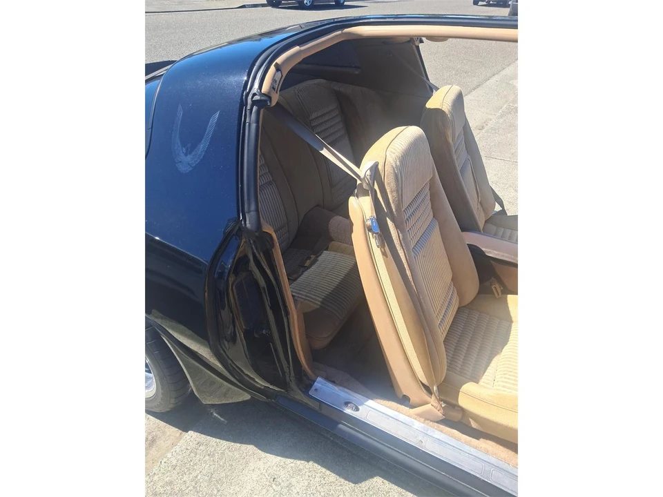 1981 Pontiac Firebird Trans Am 2nd Gen - Image 13 of 19