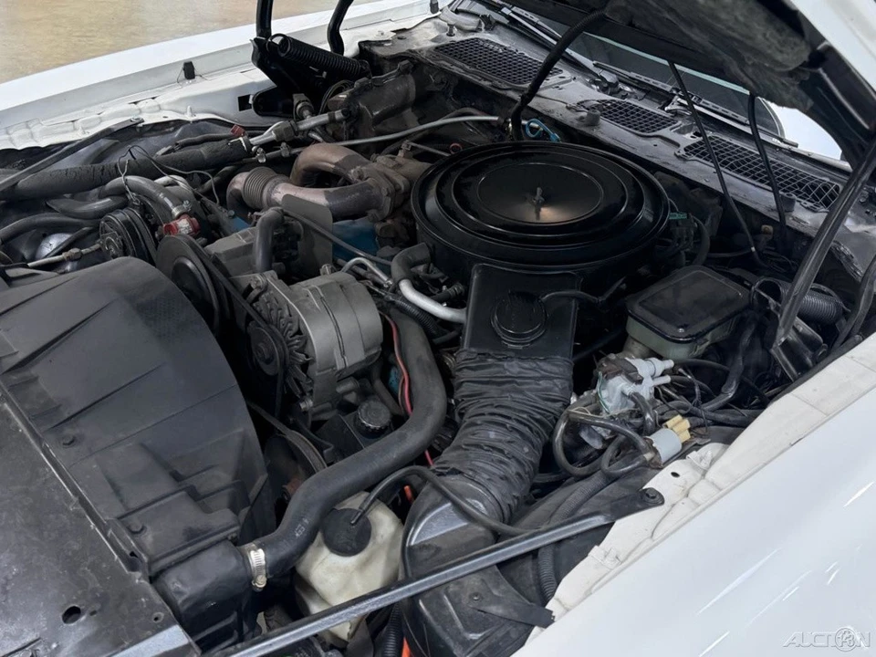 1981 Pontiac Firebird Trans Am 2nd Gen - Image 22 of 24