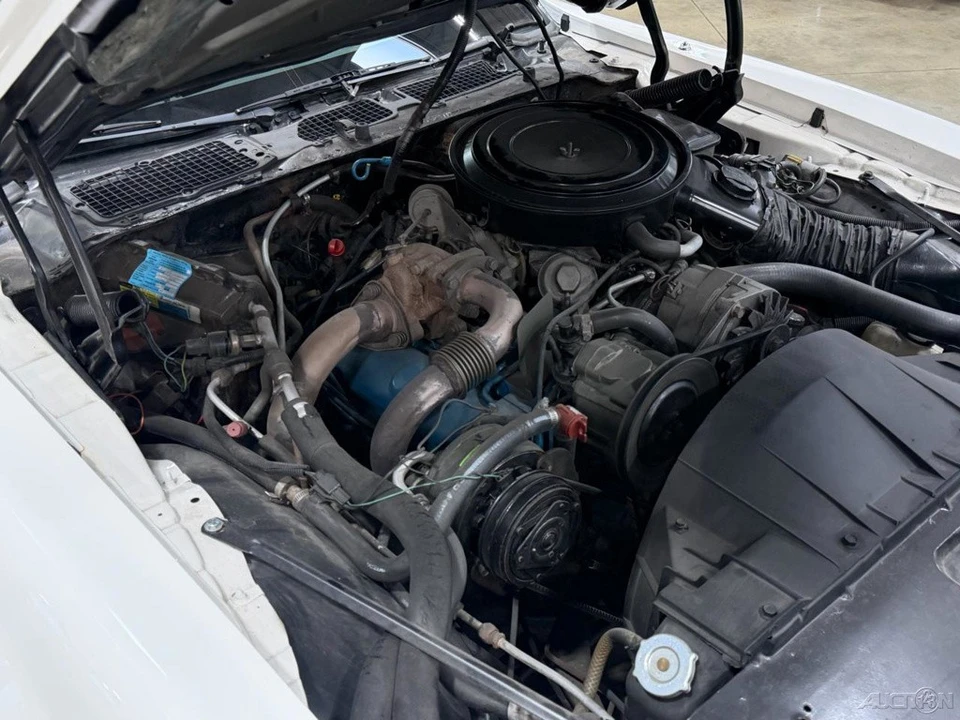 1981 Pontiac Firebird Trans Am 2nd Gen - Image 21 of 24