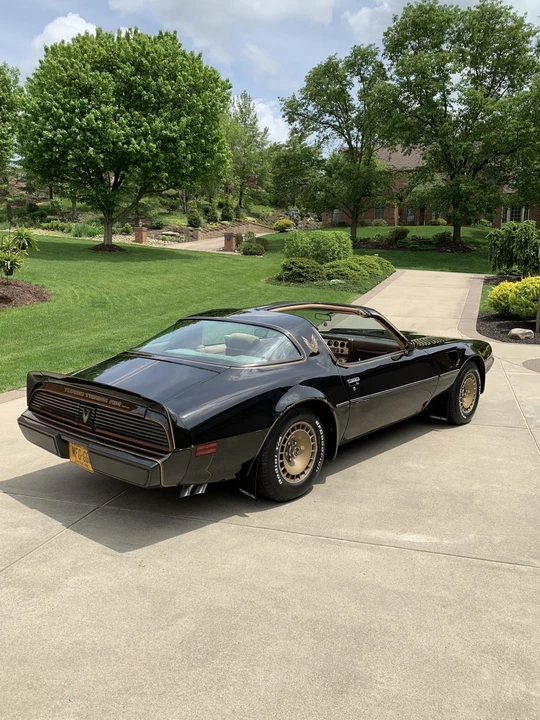 1981 Pontiac Firebird Trans Am 2nd Gen - Image 5 of 31