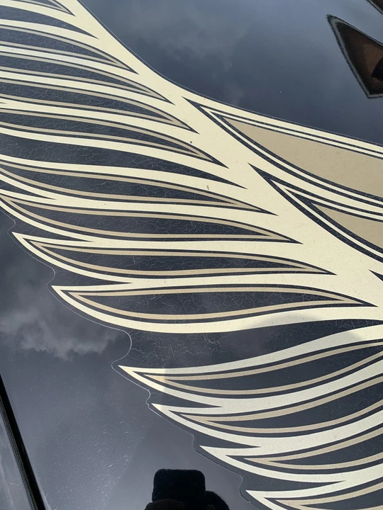 1981 Pontiac Firebird Trans Am 2nd Gen - Image 22 of 31