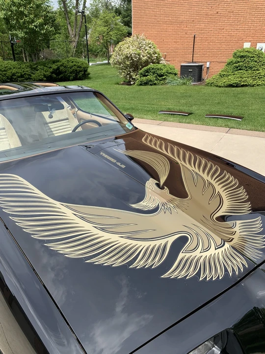 1981 Pontiac Firebird Trans Am 2nd Gen - Image 19 of 31
