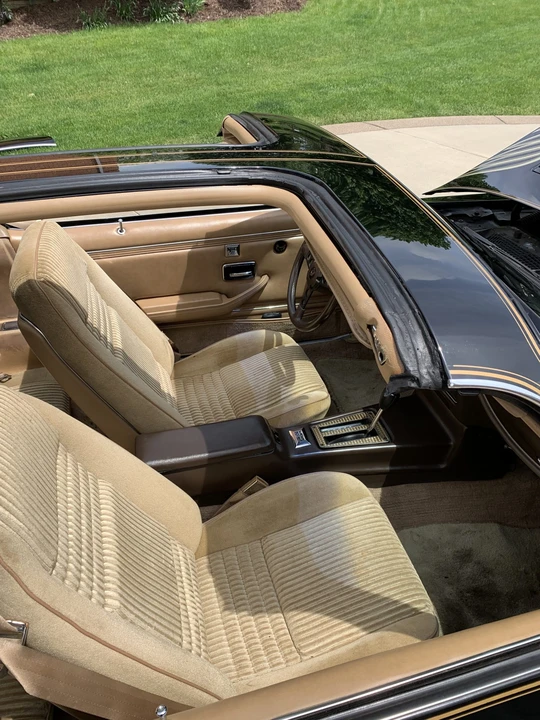 1981 Pontiac Firebird Trans Am 2nd Gen - Image 28 of 31