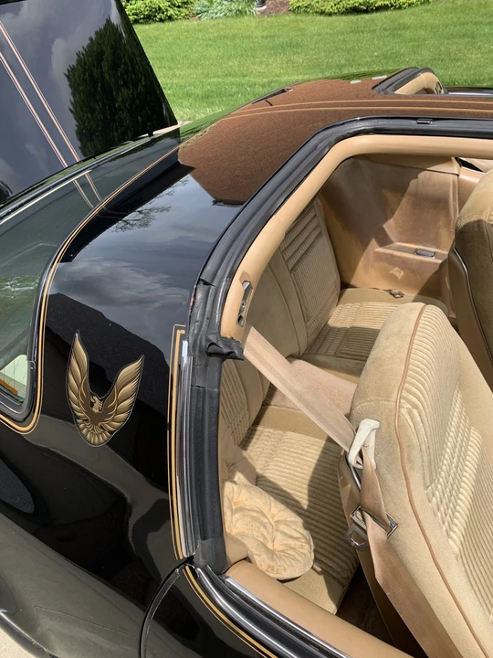 1981 Pontiac Firebird Trans Am 2nd Gen - Image 27 of 31