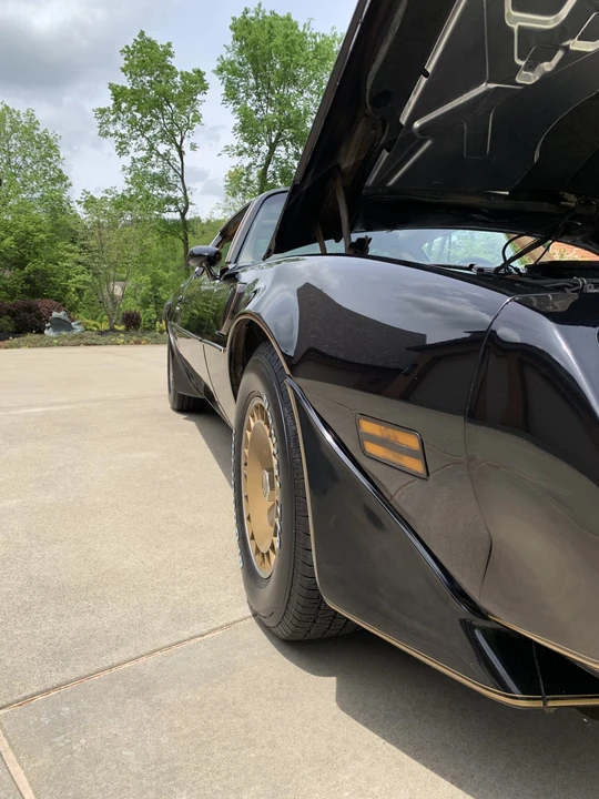 1981 Pontiac Firebird Trans Am 2nd Gen - Image 23 of 31