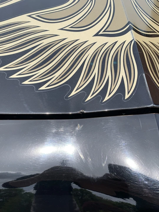 1981 Pontiac Firebird Trans Am 2nd Gen - Image 21 of 31