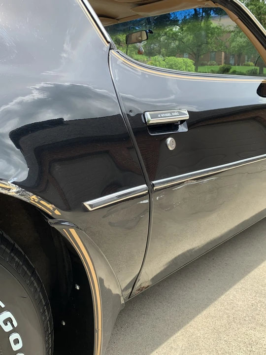 1981 Pontiac Firebird Trans Am 2nd Gen - Image 31 of 31