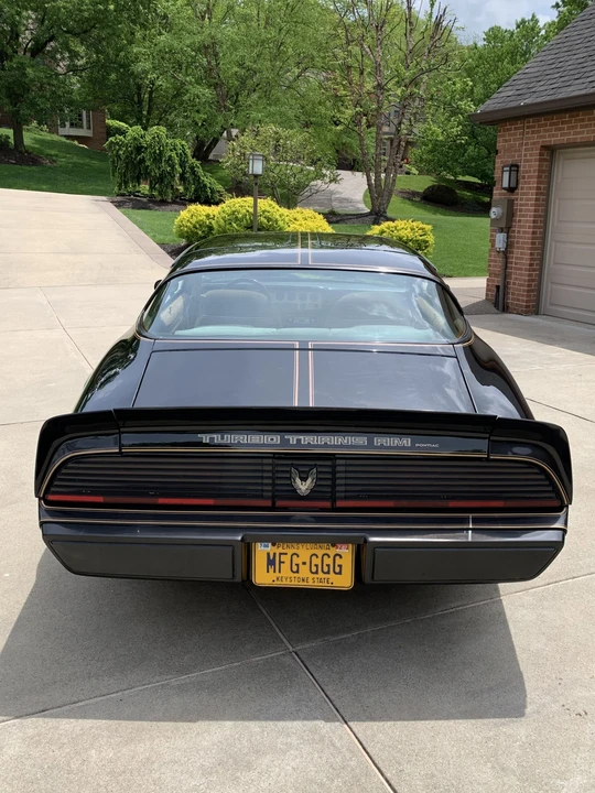 1981 Pontiac Firebird Trans Am 2nd Gen - Image 4 of 31