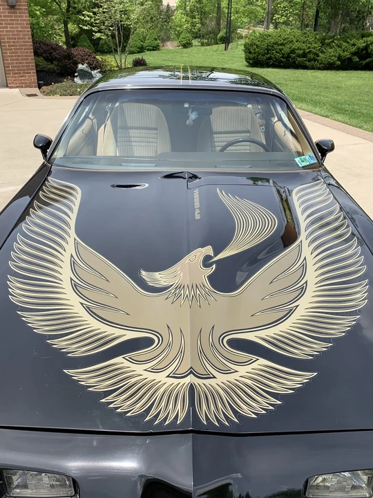 1981 Pontiac Firebird Trans Am 2nd Gen - Image 20 of 31