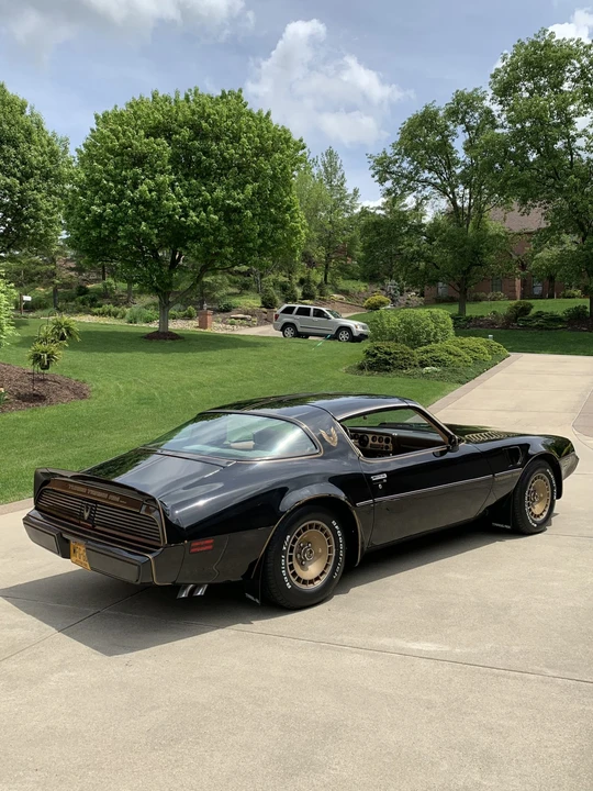 1981 Pontiac Firebird Trans Am 2nd Gen - Image 6 of 31