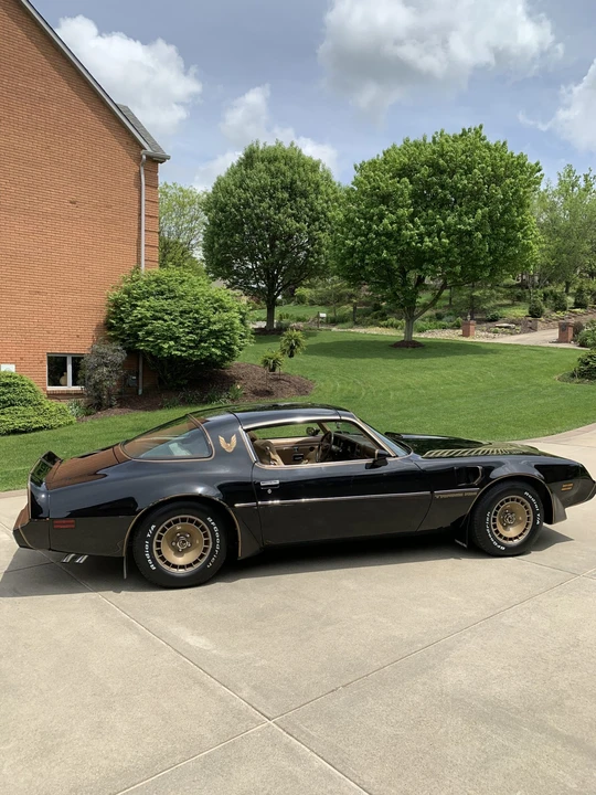 1981 Pontiac Firebird Trans Am 2nd Gen - Image 7 of 31