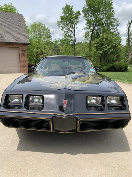 1981 Pontiac Firebird Trans Am 2nd Gen - Image 9 of 31