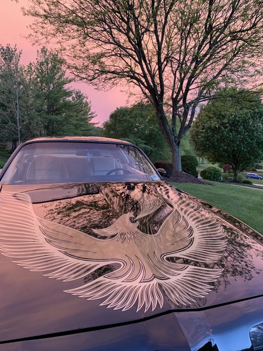 1981 Pontiac Firebird Trans Am 2nd Gen - Image 18 of 31
