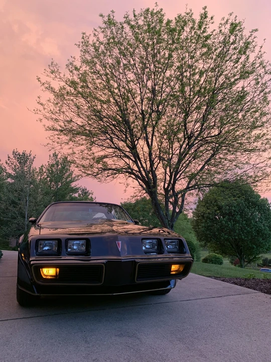 1981 Pontiac Firebird Trans Am 2nd Gen - Image 15 of 31