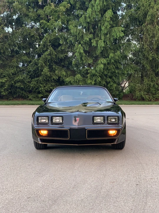 1981 Pontiac Firebird Trans Am 2nd Gen - Image 8 of 31