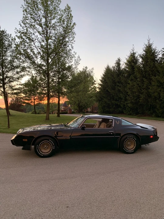1981 Pontiac Firebird Trans Am 2nd Gen - Image 14 of 31