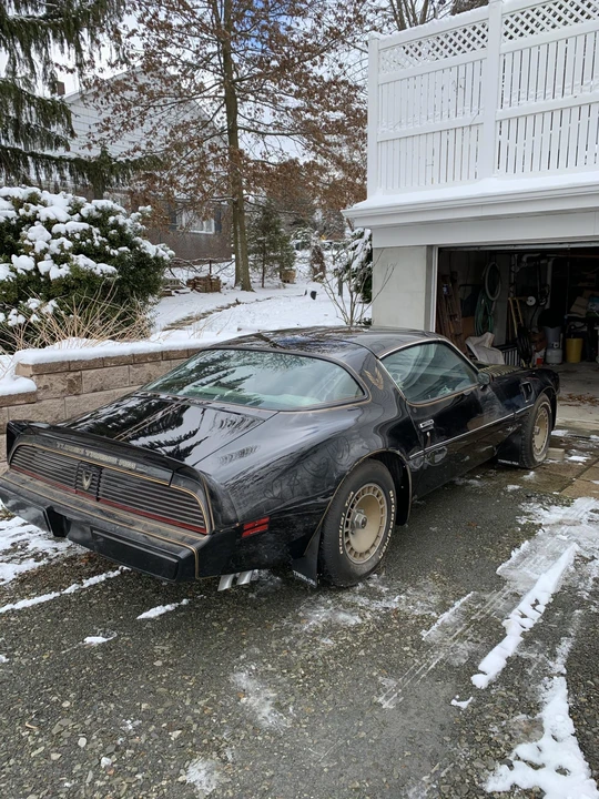 1981 Pontiac Firebird Trans Am 2nd Gen - Image 12 of 31