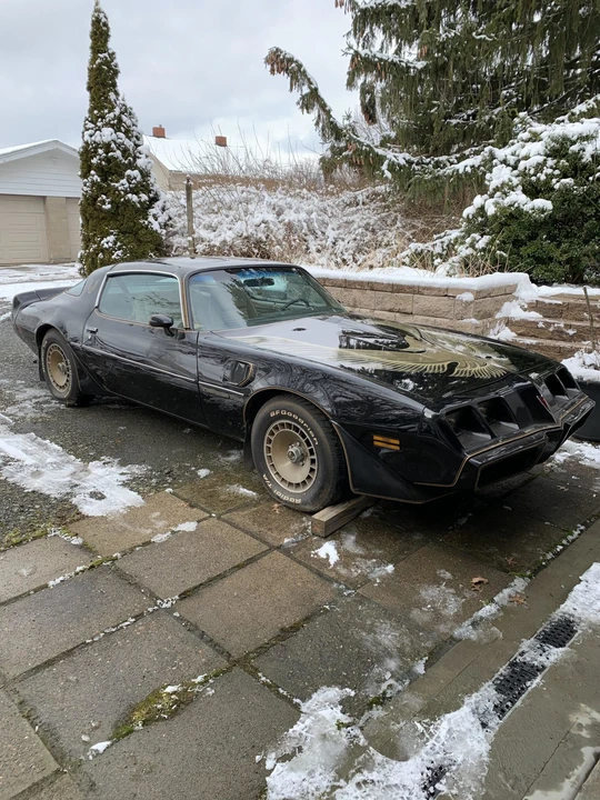 1981 Pontiac Firebird Trans Am 2nd Gen - Image 13 of 31