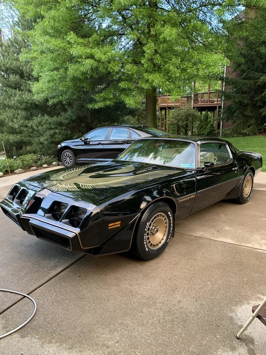 1981 Pontiac Firebird Trans Am 2nd Gen - Image 11 of 31