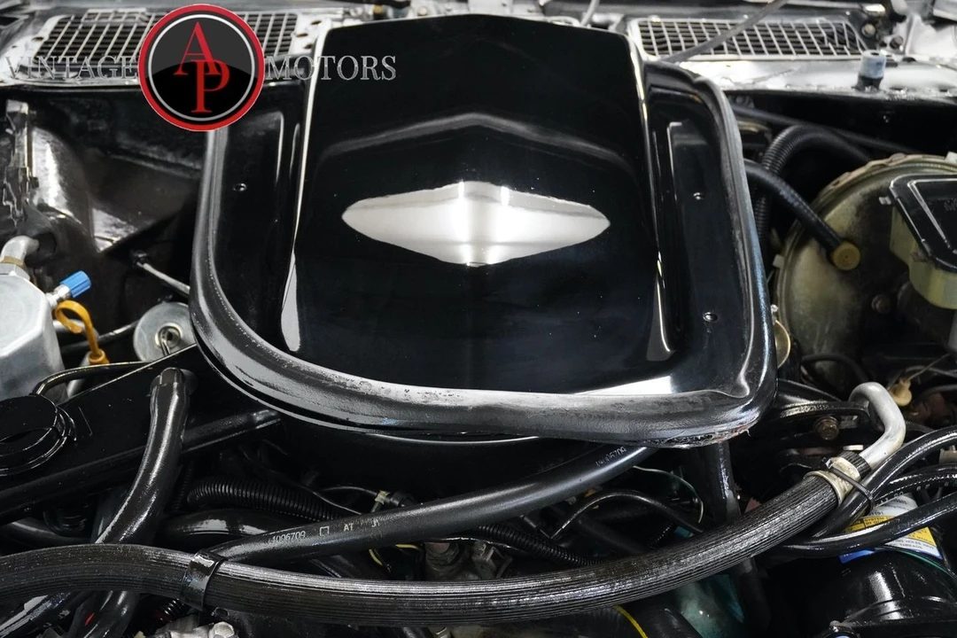 1981 Pontiac Firebird Trans Am 2nd Gen - Image 3 of 31