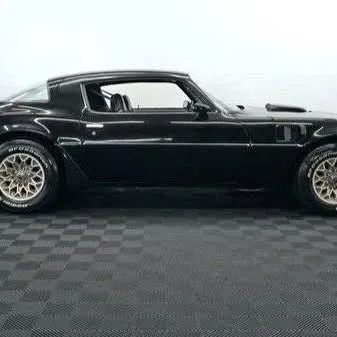 1981 Pontiac Firebird Trans Am