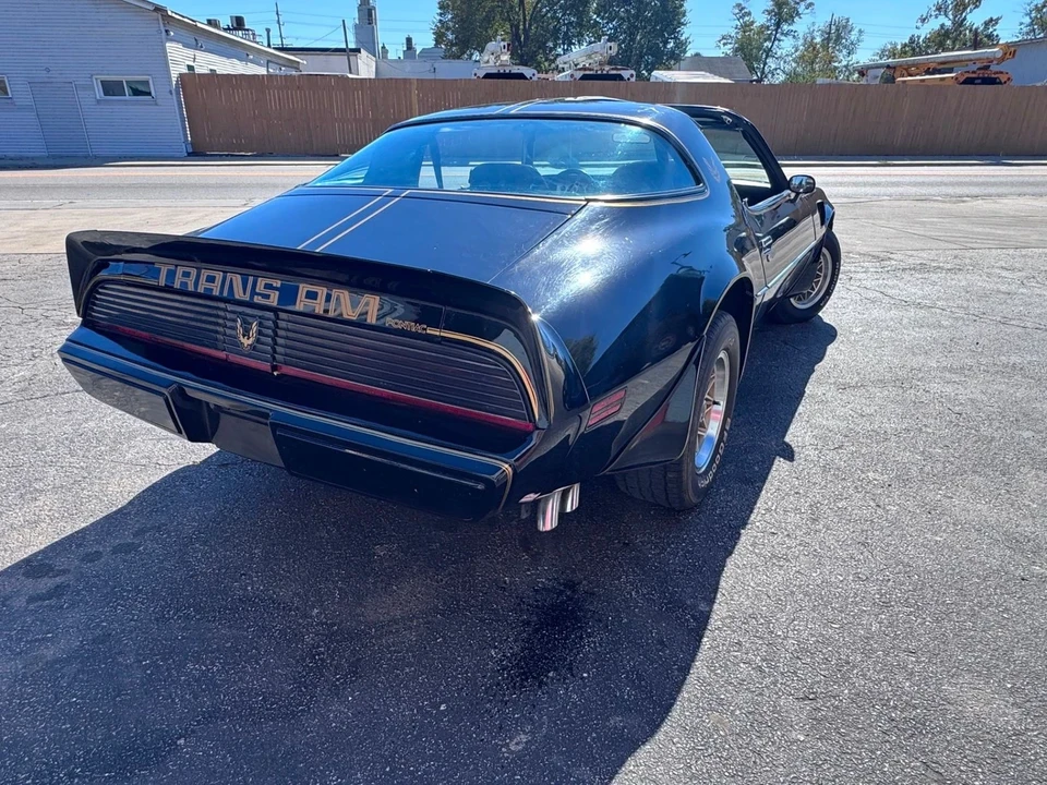 1981 Pontiac Firebird Trans Am 2nd Gen - Image 8 of 12